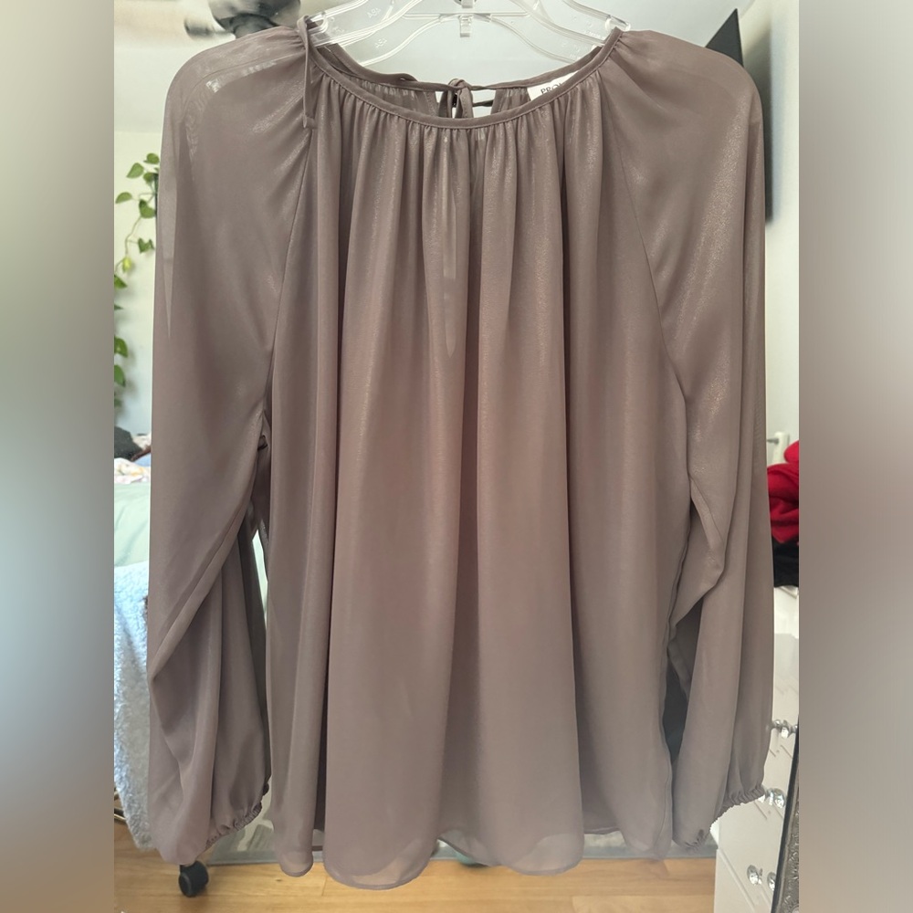 Sheer long sleeve top